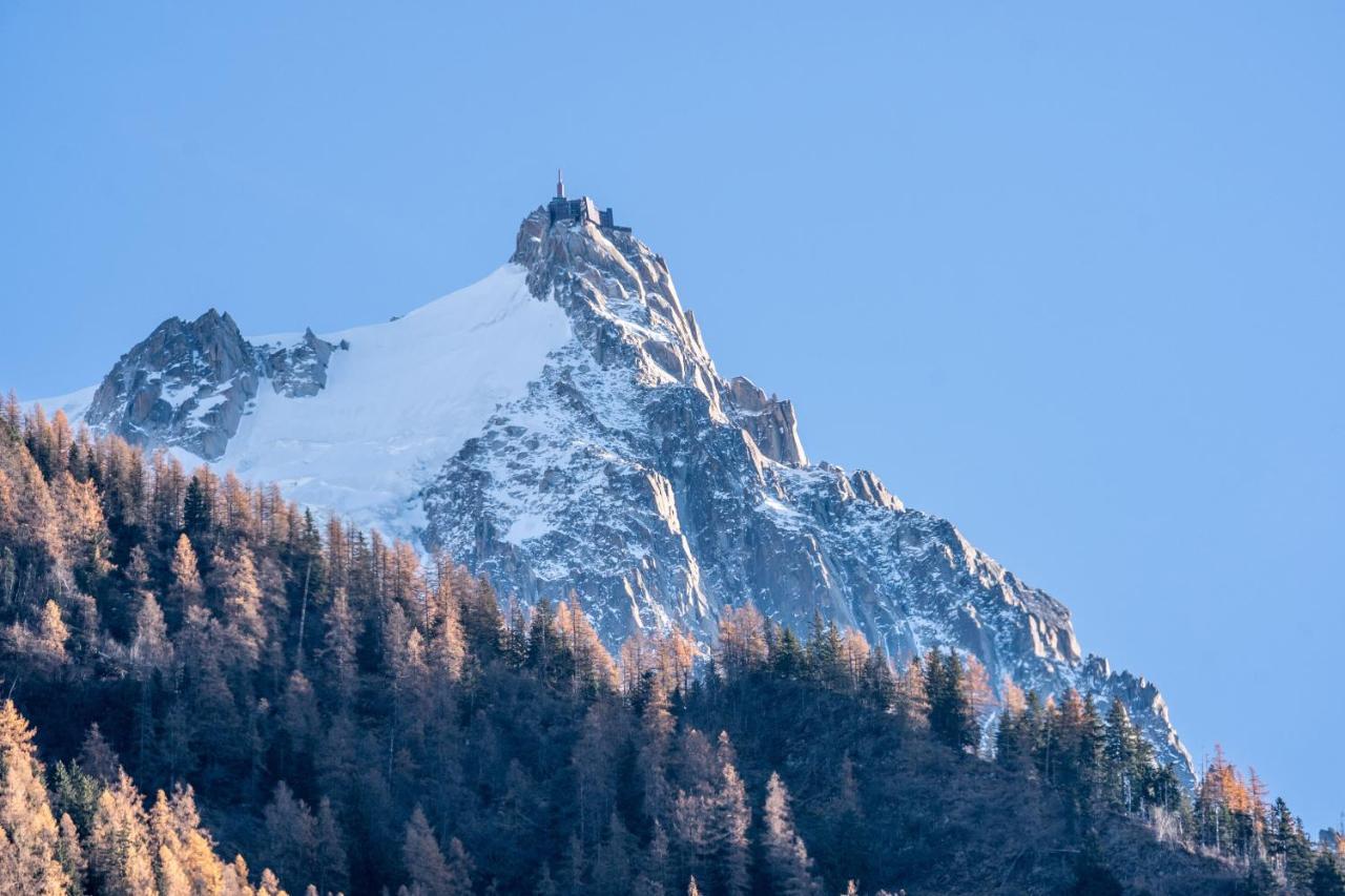 Chamonix Sud Studio With Mont Blanc Views Eksteriør billede